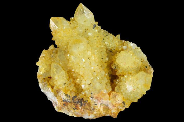 Sunshine Cactus Quartz Crystal Cluster - South Africa #132892